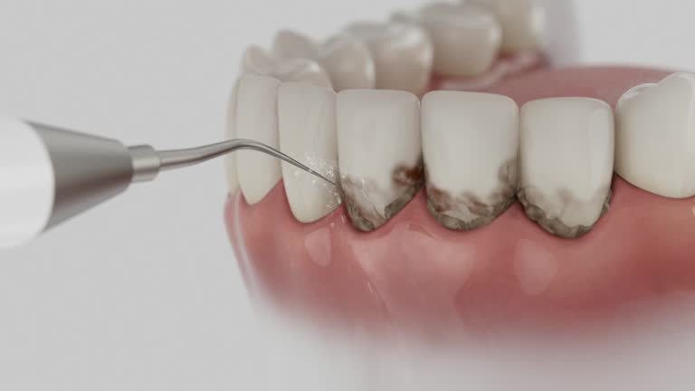 Reliable Dental contractor in Delphos, OH by Dentist Open Now